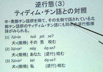 ティディム・チン語の例