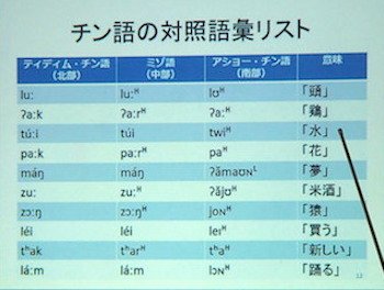チン語の対照語彙リスト